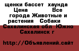 щенки бассет- хаунда › Цена ­ 20 000 - Все города Животные и растения » Собаки   . Сахалинская обл.,Южно-Сахалинск г.